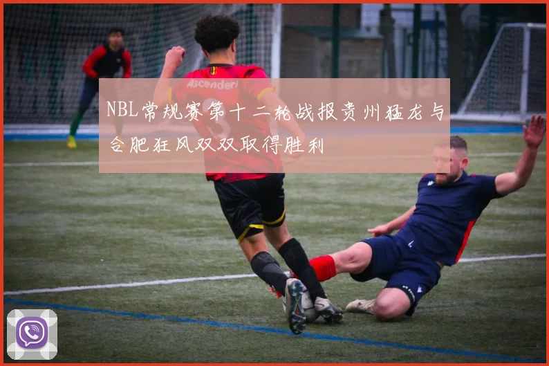 NBL常规赛第十二轮战报贵州猛龙与合肥狂风双双取得胜利