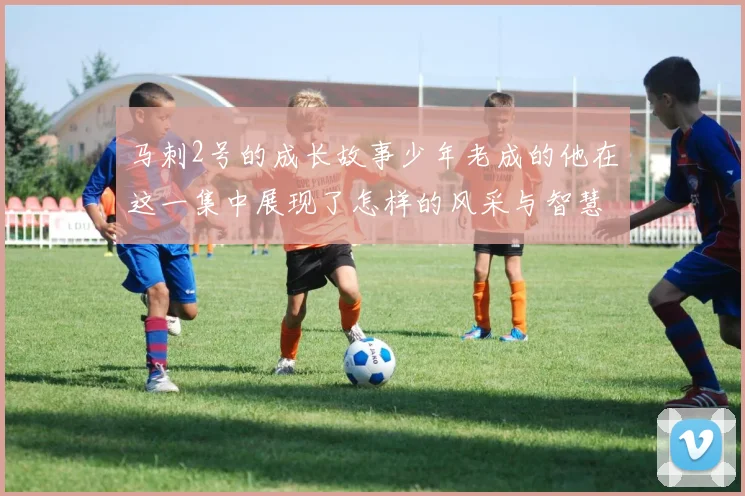 马刺2号的成长故事少年老成的他在这一集中展现了怎样的风采与智慧