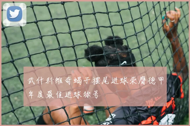 武什科维奇蝎子摆尾进球荣膺德甲年度最佳进球称号